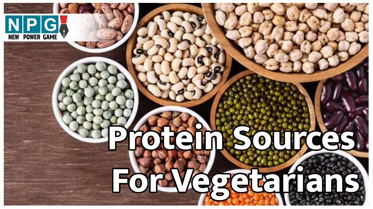 Protein Sources For Vegetarians: वेजिटेरियन्स के लिए बेस्ट हैं ये सात कटोरी-प्रोटीन वाली, पढ़िए विराट कोहली के न्यूट्रीशनिस्ट रयान फर्नेंडो ने क्या बताया...