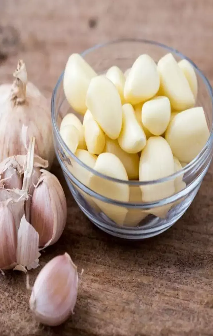Bad Cholesterol: बैड कोलेस्ट्रोल की कट्टर दुश्मन हैं ये 9 सब्जियां, शरीर से बाहर निकाल के ही लेती हैं दम, चलिए जानें पूरी लिस्ट