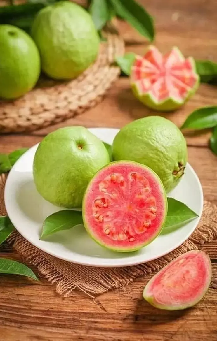 Collagen Rich Food Items: बढ़ती उम्र को मात देंगे ये कोलेजन बढ़ाने वाले फूड आइटम्स, खानपान में कर लीजिए शामिल