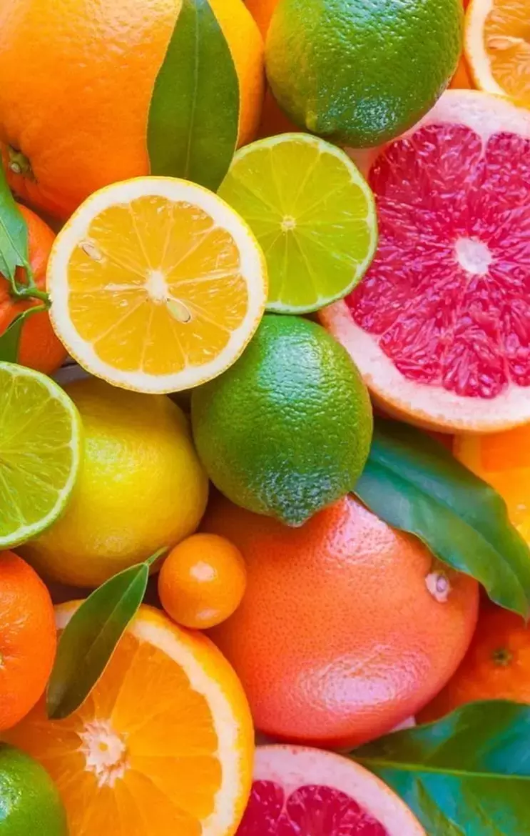Collagen Rich Food Items: बढ़ती उम्र को मात देंगे ये कोलेजन बढ़ाने वाले फूड आइटम्स, खानपान में कर लीजिए शामिल