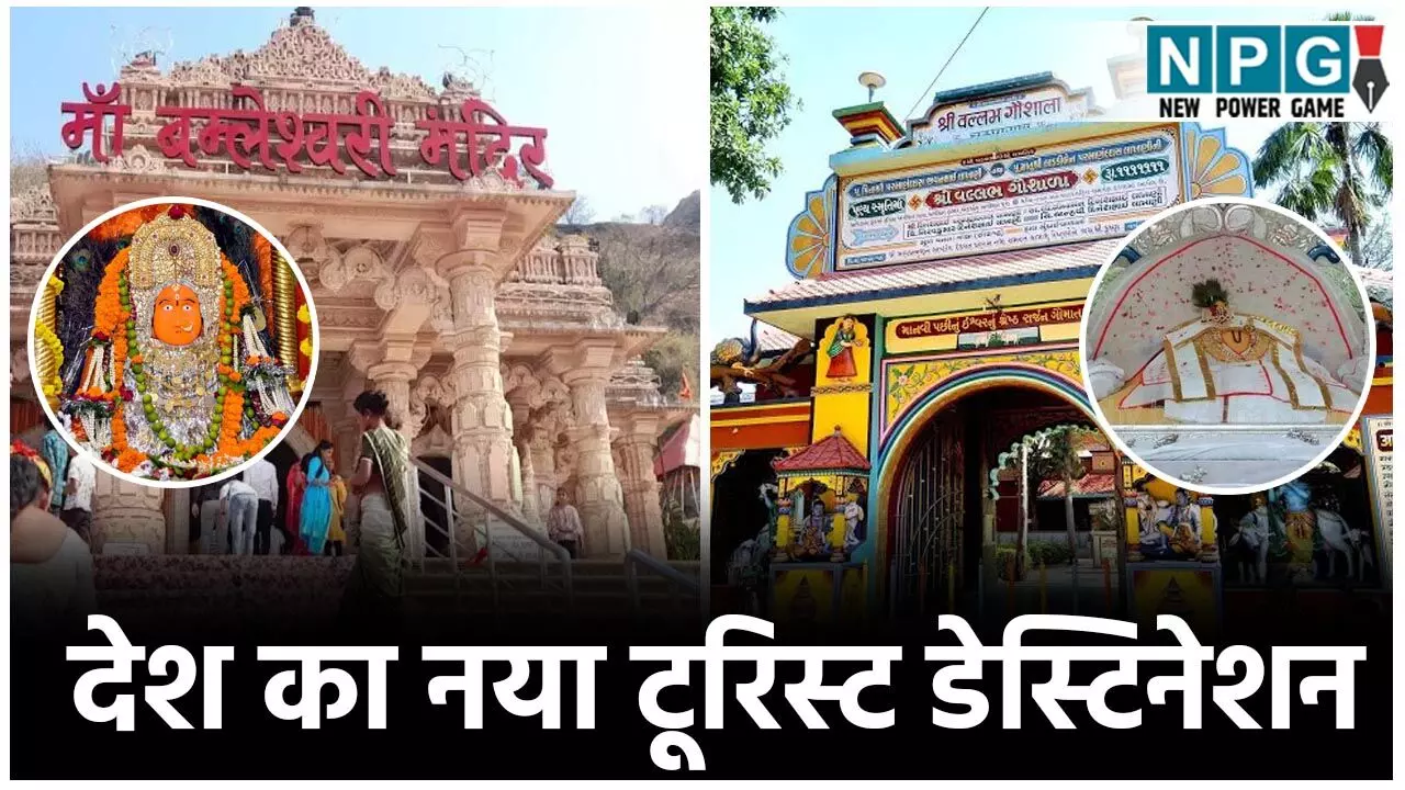 Dongargharh and Champaran: छत्तीसगढ़ का डोंगरगढ़ और चंपारण बनेगा देश का नया टूरिस्ट और धार्मिंक डेस्टिनेशन, डोंगरगढ़ में बनेंगे लग्जरी रिसोर्ट, ओपी के बजट में खास फोकस... Dongargharh and Champaran: छत्तीसगढ़ का डोंगरगढ़ और चंपारण बनेगा देश का नया टूरिस्ट और धार्मिंक डेस्टिनेशन, डोंगरगढ़ में बनेंगे लग्जरी रिसोर्ट, ओपी के बजट में खास फोकस...