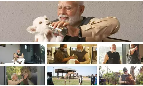 PM Modi visit Vantara: PM मोदी ने वनतारा का किया उद्घाटन, शावकों के साथ खेलते नजर आए