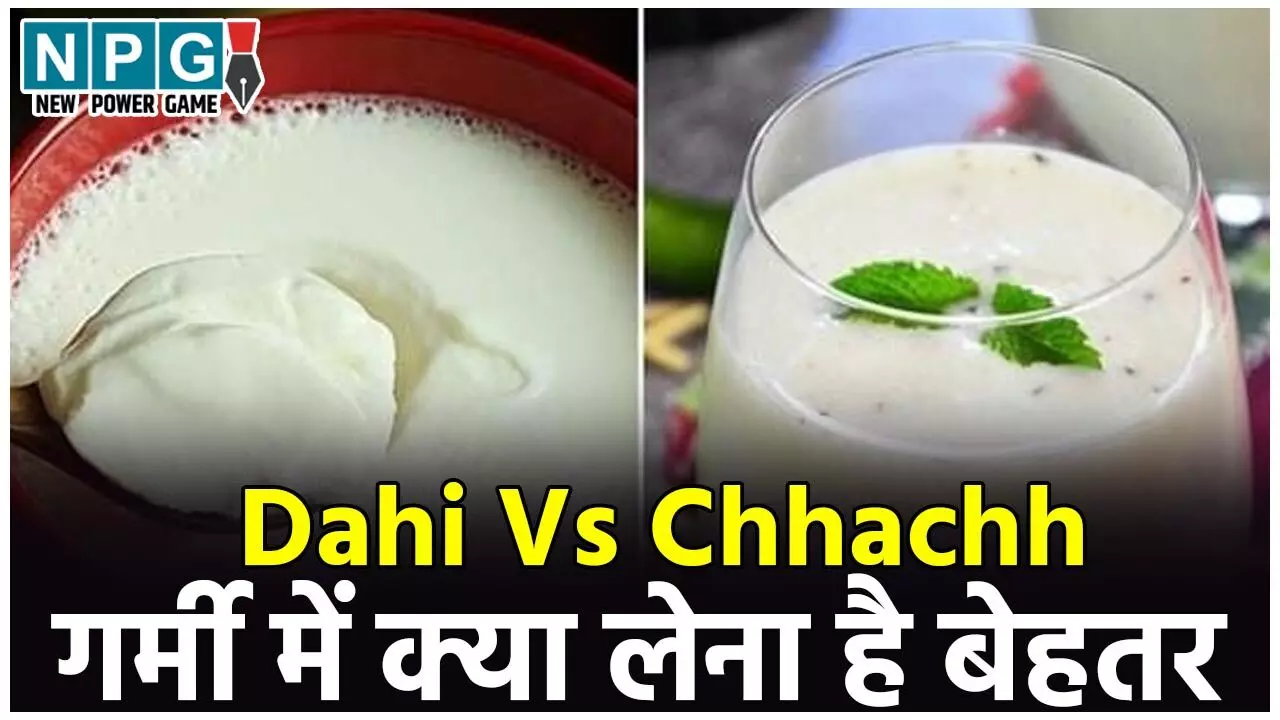 Dahi Vs Chhachh: दही या छाछ, गर्मी में क्या लेना बेहतर? Dahi Vs Chhachh: दही या छाछ, गर्मी में क्या लेना बेहतर?