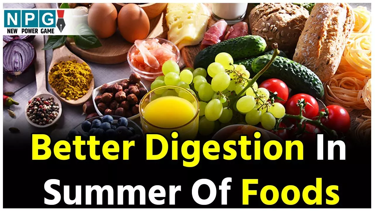 Foods For Better Digestion In Summer: गर्मी में डाइजेशन रहेगा बढ़िया, खाने में शामिल कीजिये ये चीज़ें...