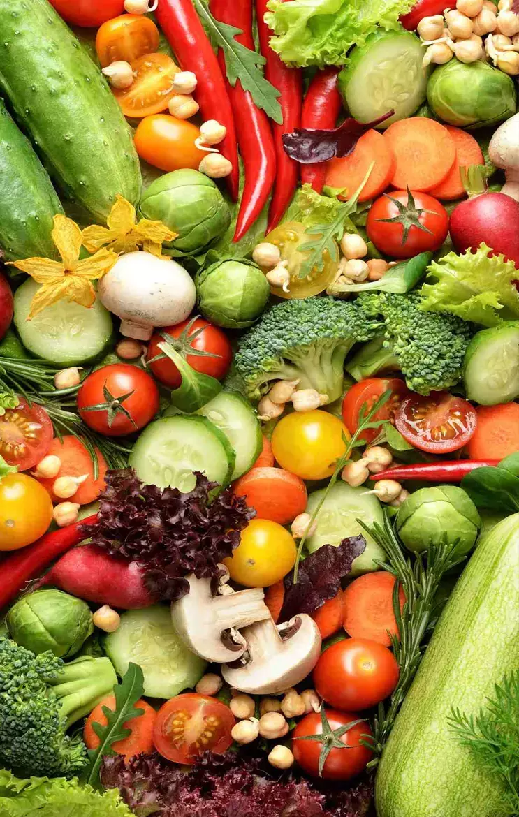 Foods For Better Digestion In Summer: गर्मी में डाइजेशन रहेगा बढ़िया, खाने में शामिल कीजिये ये चीज़ें...
