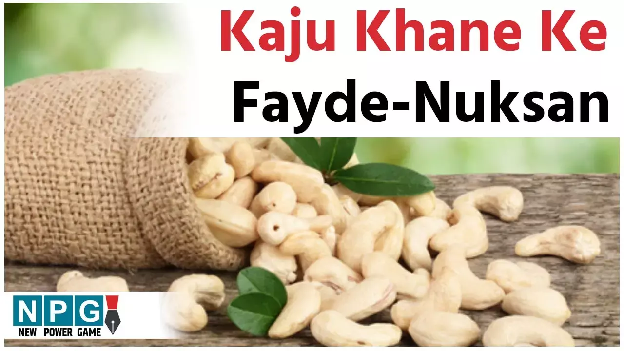Cashews Benefits And Side Effects: काजू है न्यूट्रिशन का पावर हाउस