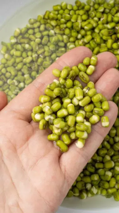 Moong Dal Ke Pani ke Fayde: सुबह खाली पेट मूंग दाल के पानी पीने के क्या हैं फायदे