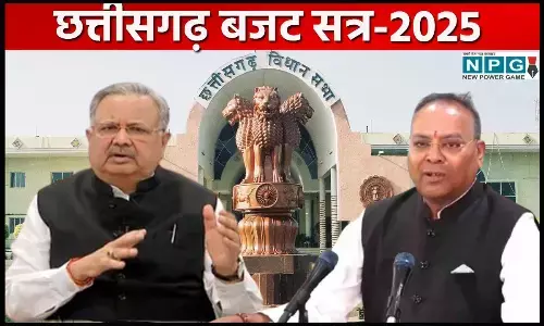 CG Vidhansabha Budget Session 2025: विधानसभा अध्यक्ष रमन सिंह ने अजय चंद्राकर से कहा, जैसी पिच वैसे ही हो रही बैटिंग, आप बीच में क्यों आ रहे
