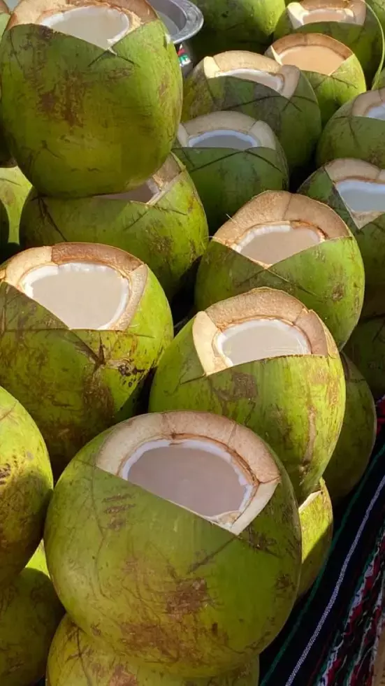 Nariyal Pani ke Fayde: प्रेग्नेंसी के दौरान महिलाओं को नारियल पानी पीना चाहिए या नहीं