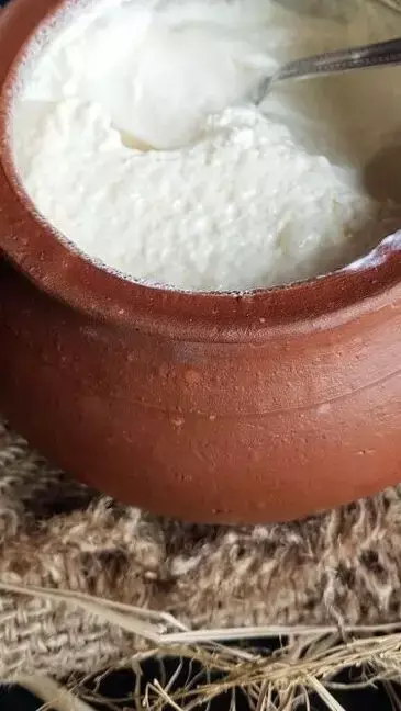 Dahi Khane Ke Nuksan: क्या रोज दही खाने से हो सकता है नुकसान?