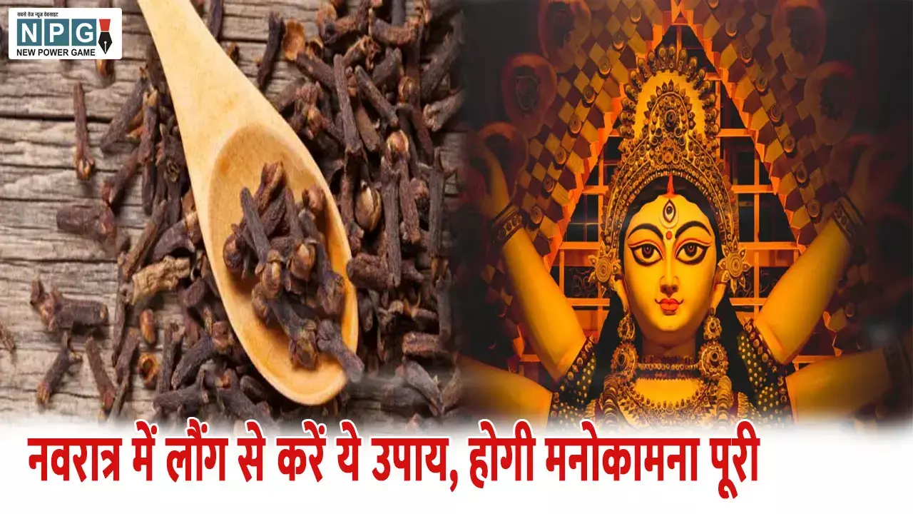 नवरात्र में करें लौंग के अचूक उपाय, मनोकामना जल्द होगी पूरी