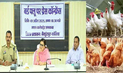 Koriya News: CG में बर्ड फ्लू की दस्तक, इस जिले में 40 हजार मुर्गे-मुर्गियों को किया गया दफन