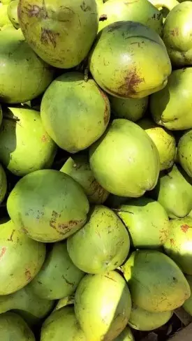 Coconut Water For Face: चेहरे पर नारियल पानी लगाने के हैं कई फायदे
