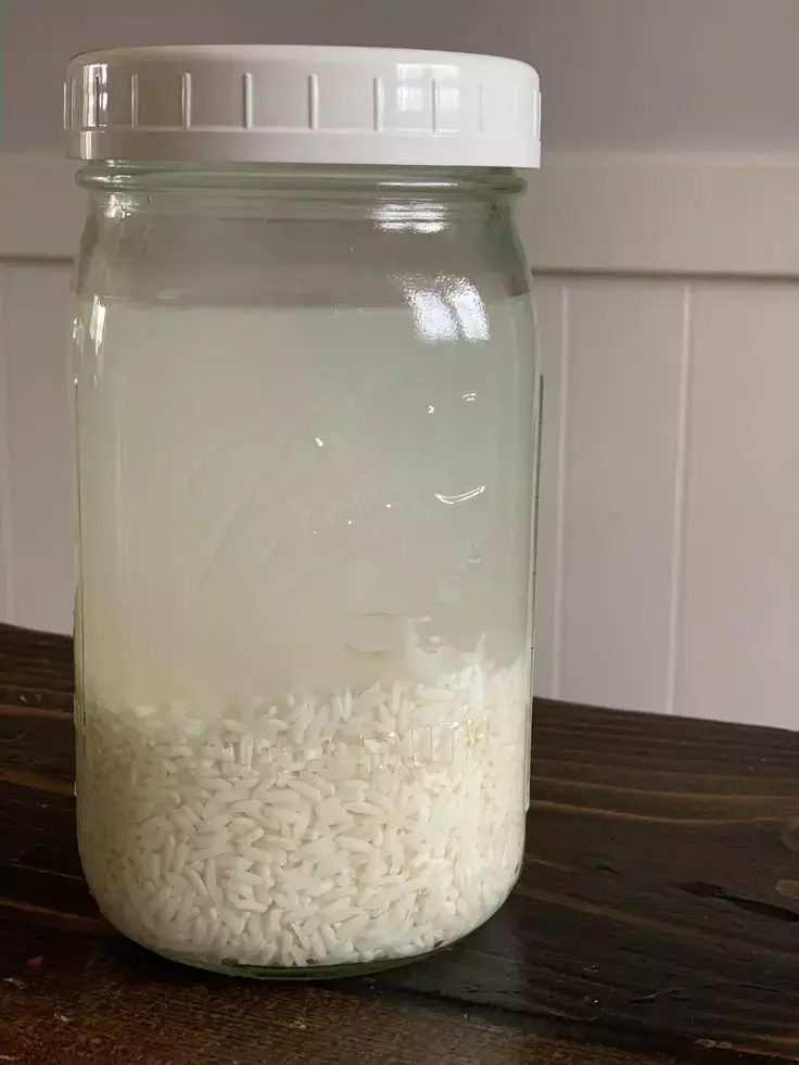 Chawal Ka Mand Pine Ke Fayde: चावल का मांड पीने से शरीर को मिलते हैं कई फायदे
