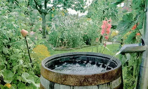 CG ये खतरनाक संकेत: छत्तीसगढ़ के इस जिले के कलेक्टर ने घोषित किया जलाभाव ग्रस्त जिला, देखें कलेक्टर का आदेश