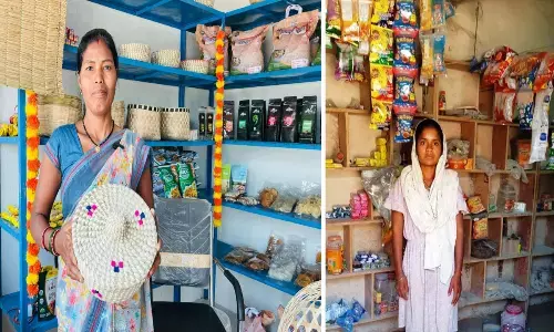 छत्तीसगढ़ में मुख्यमंत्री विष्णुदेव साय की योजनाओं से ग्रामीण अर्थव्यवस्था को मिल रही मजबूती, महिलाएं बन रही स्वावलंबी...