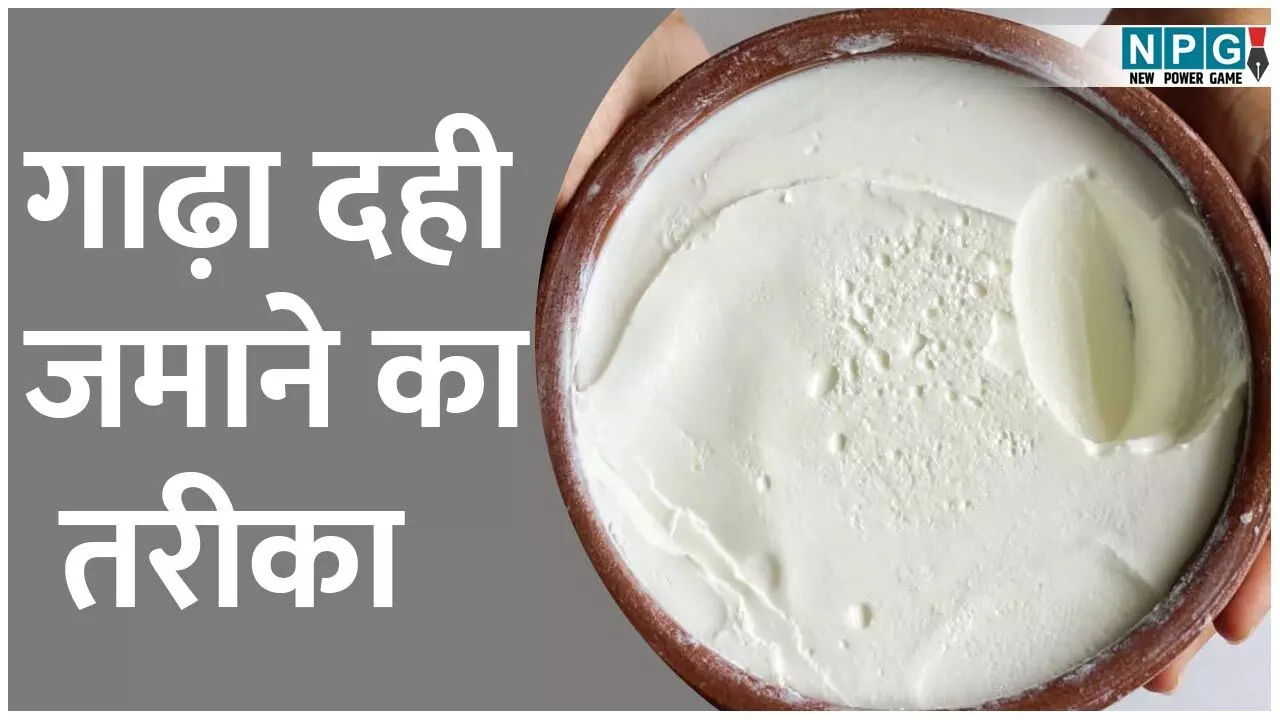 How To Make Perfect Curd In Summer: गर्मी में परफेक्ट गाढ़ा दही जमाने का तरीका, न होगा खट्टा, न ढीला, सीखिये एक्सपर्ट्स से... How To Make Perfect Curd In Summer: गर्मी में परफेक्ट गाढ़ा दही जमाने का तरीका, न होगा खट्टा, न ढीला, सीखिये एक्सपर्ट्स से...