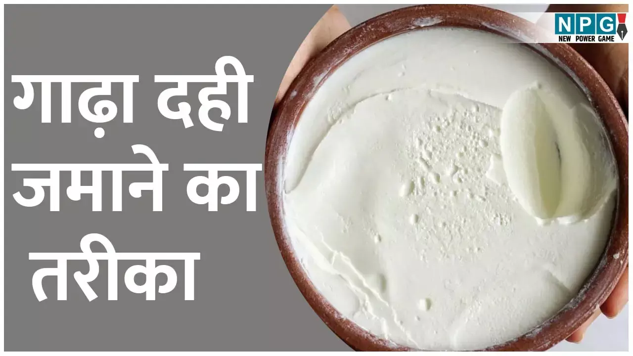 How To Make Perfect Curd In Summer: गर्मी में परफेक्ट गाढ़ा दही जमाने का तरीका, न होगा खट्टा, न ढीला, सीखिये एक्सपर्ट्स से... How To Make Perfect Curd In Summer: गर्मी में परफेक्ट गाढ़ा दही जमाने का तरीका, न होगा खट्टा, न ढीला, सीखिये एक्सपर्ट्स से...