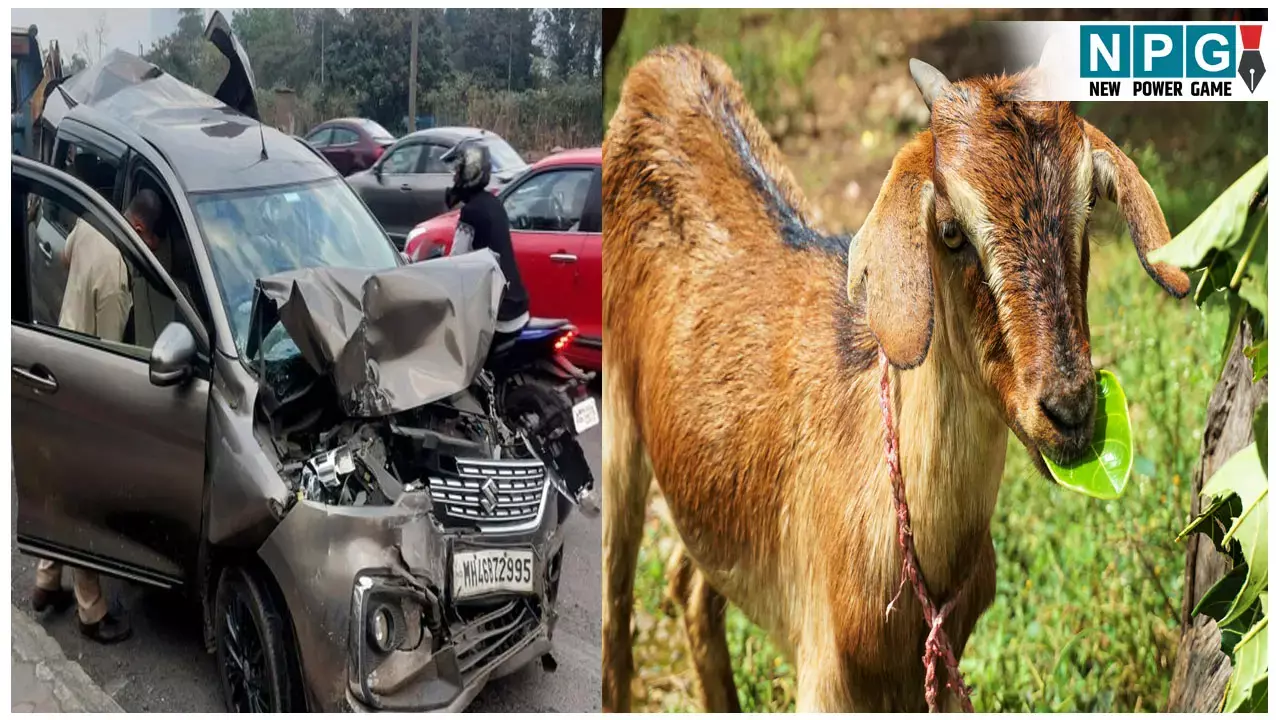 Jabalpur Accident News: बलि देने जा रहे परिवार हादसे का शिकार, 4 लोगों की हो गई मौत,