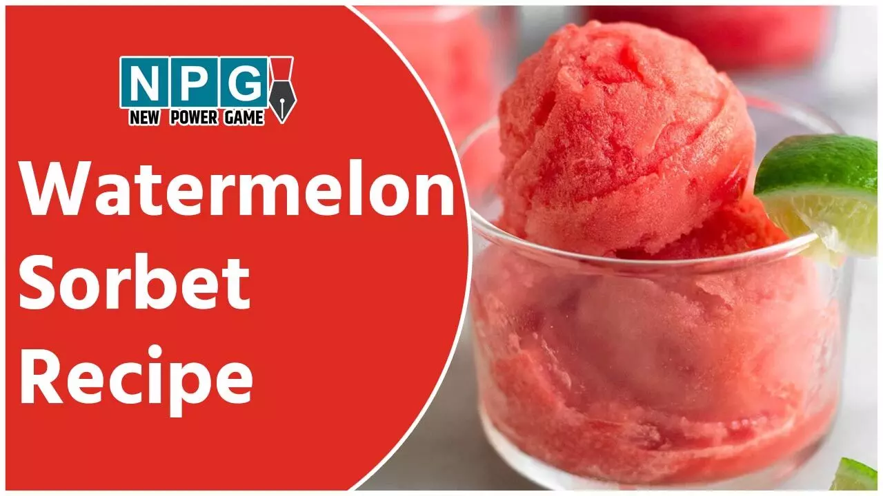 Watermelon Sorbet Recipe: सिर्फ दो इंग्रीडिएंट्स से बनाइए शानदार समर डिज़र्ट वाॅटरमेलन साॅर्बे, देखते ही देखते होगा डब्बा खाली... Watermelon Sorbet Recipe: सिर्फ दो इंग्रीडिएंट्स से बनाइए शानदार समर डिज़र्ट वाॅटरमेलन साॅर्बे, देखते ही देखते होगा डब्बा खाली...