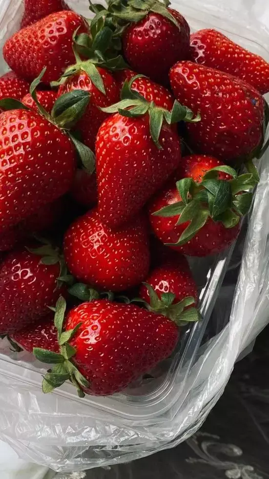 Best Fruits for Diabetes Patients: डायबिटीज के मरीज खा सकते हैं ये 9 फल