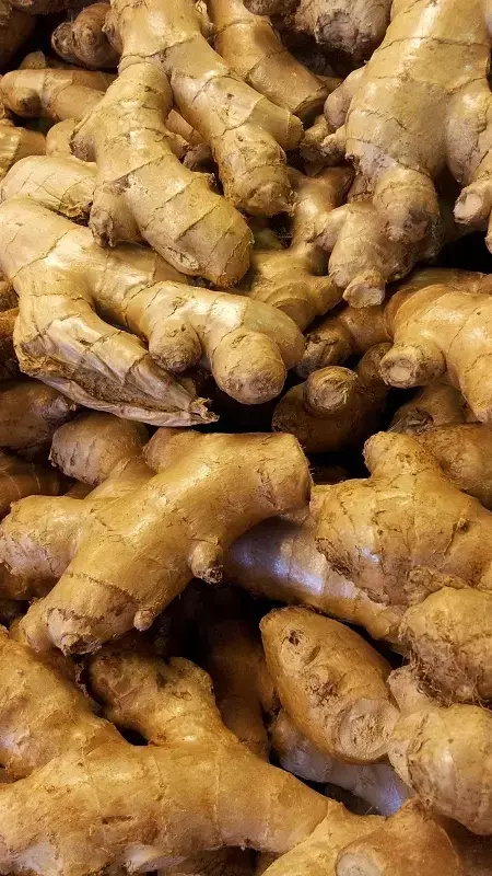 Ginger Side Effects Hindi: गर्मियों में अदरक खानी चाहिए या नहीं?