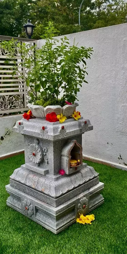 Vastu Tips: इन जगहों पर कभी न लगाएं तुलसी का पौधा, हो सकते हैं कंगाल