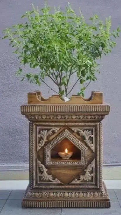 Vastu Tips: इन जगहों पर कभी न लगाएं तुलसी का पौधा, हो सकते हैं कंगाल