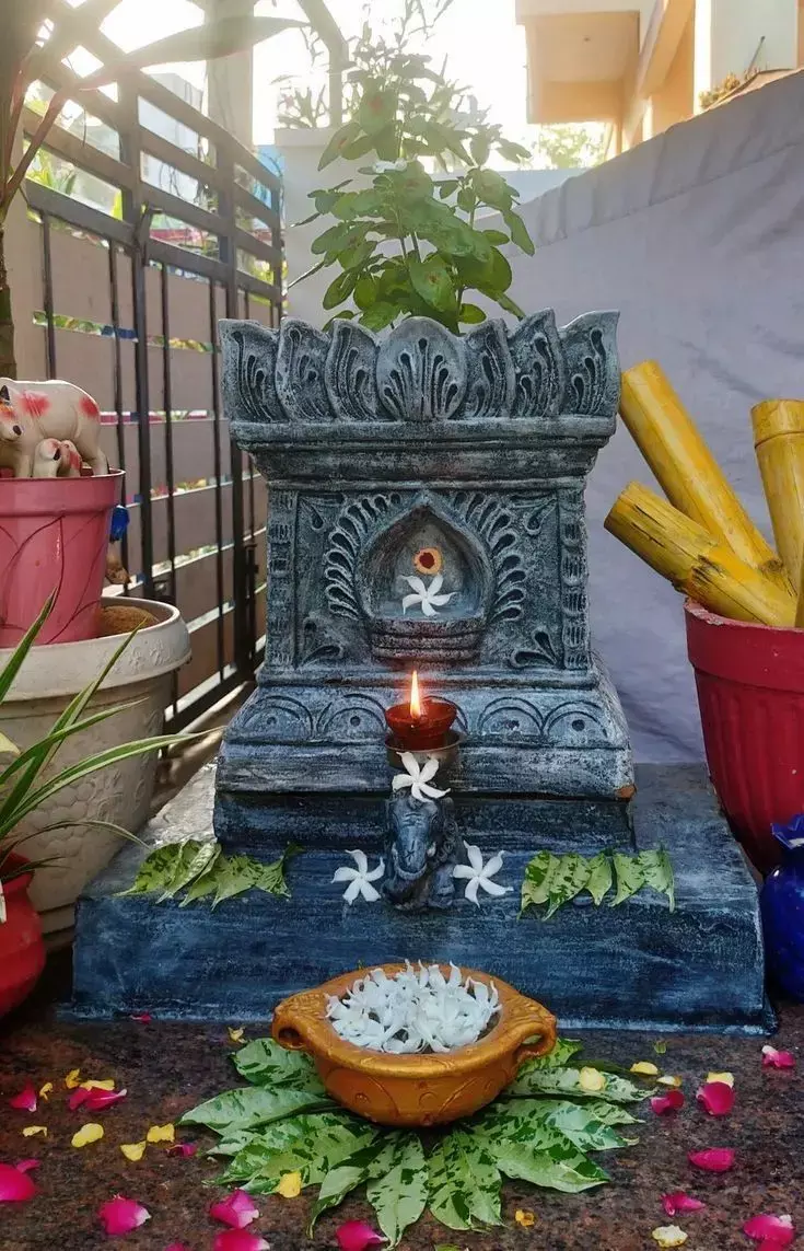 Vastu Tips: इन जगहों पर कभी न लगाएं तुलसी का पौधा, हो सकते हैं कंगाल