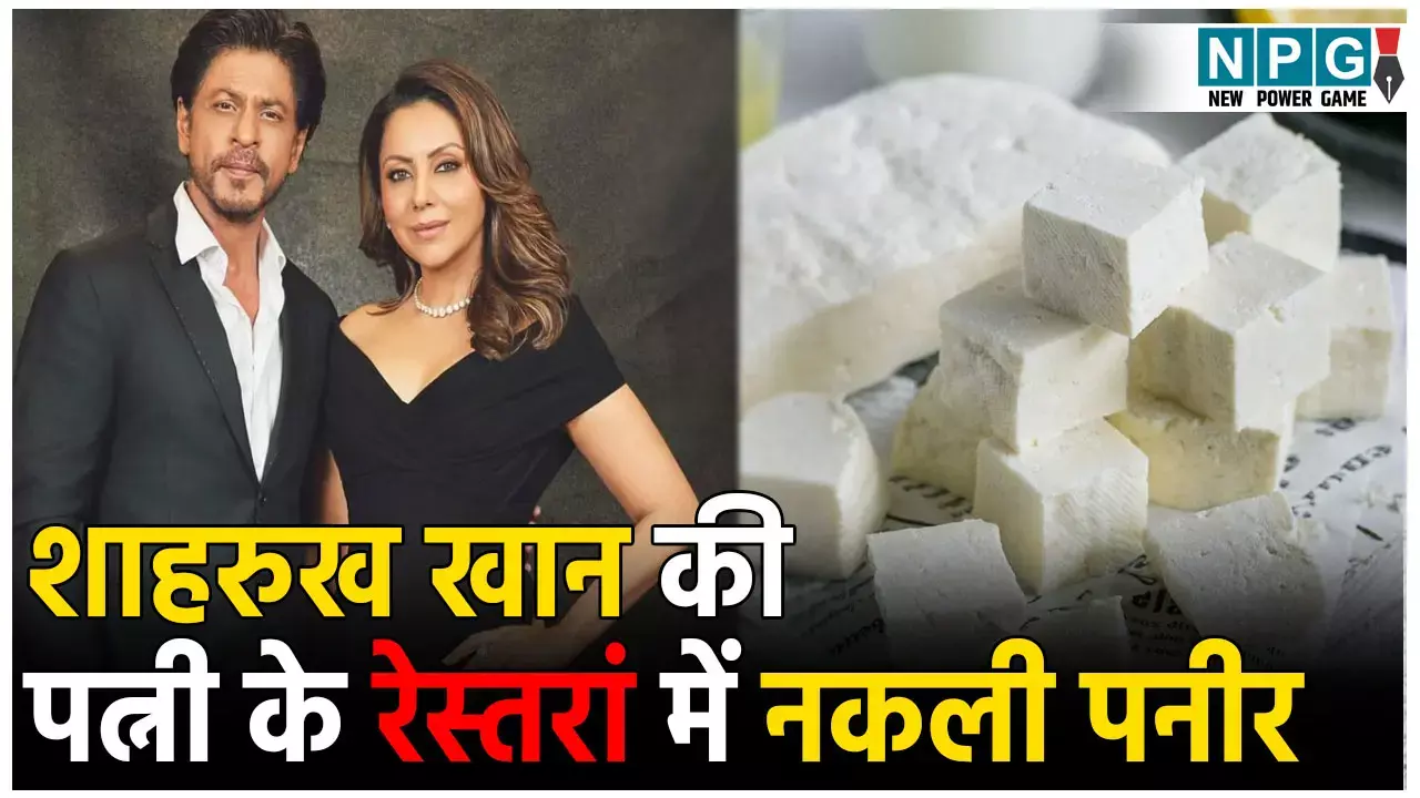 Gauri Khan Restaurant Torii: शाहरुख खान की पत्नी के रेस्त्रां में परोसा जा रहा है नकली पनीर!