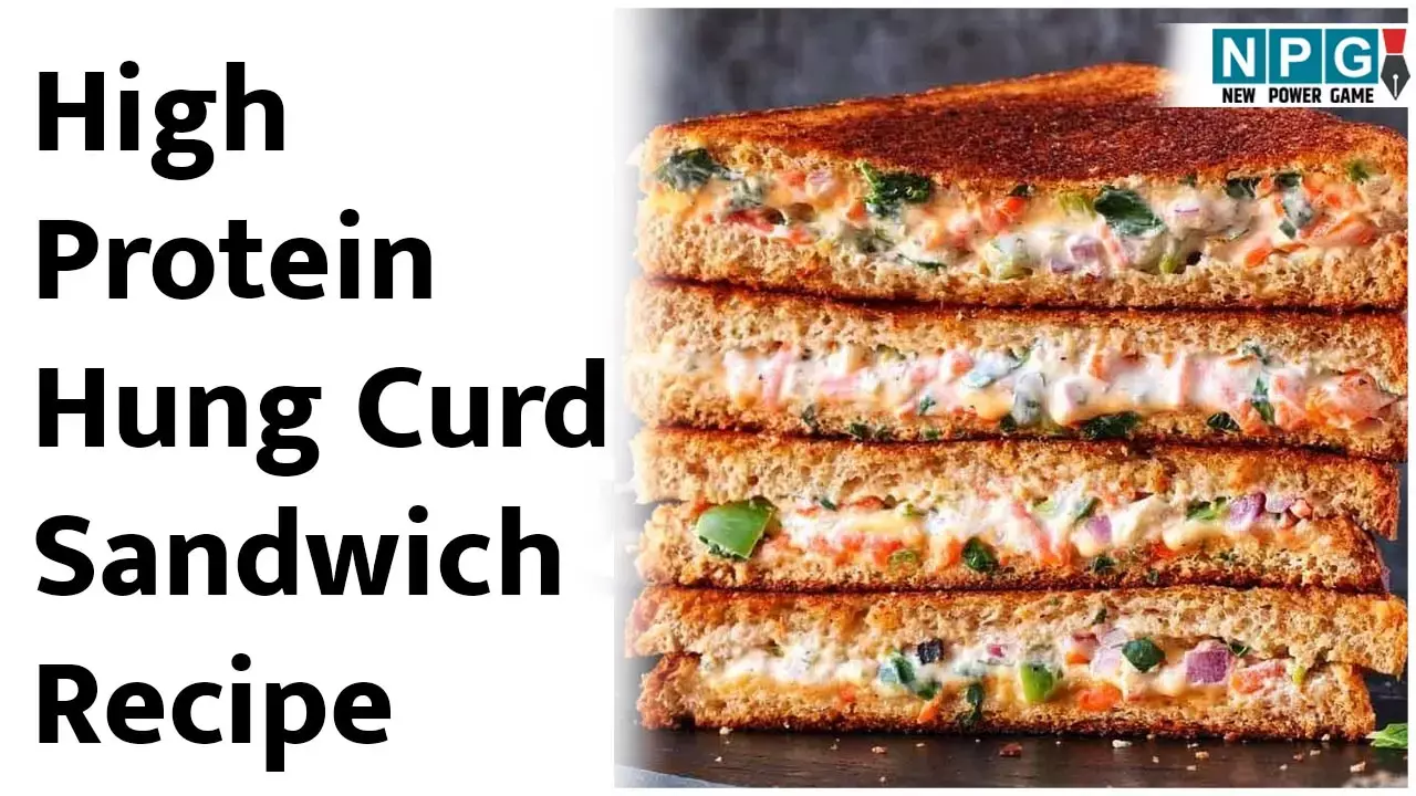 High Protein Hung Curd Sandwich Recipe: प्रोटीन से भरपूर हंग कर्ड सैंडविच की ईज़ी रेसिपी सीखिये, ब्रेकफास्ट बनेगा हेल्दी, टेस्टी और इंटरेस्टिंग...