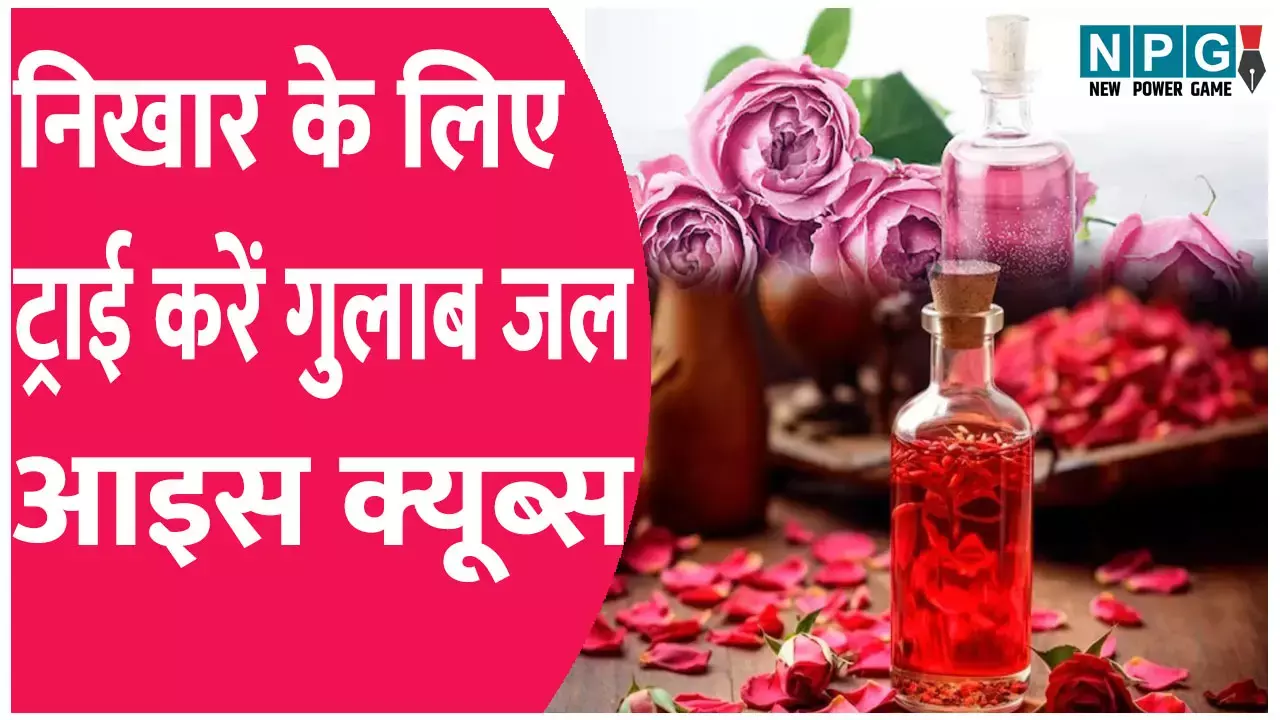 चेहरे पर झटपट ठंडक और निखार चाहिए? ट्राई करें गुलाब जल के आइस क्यूब्स