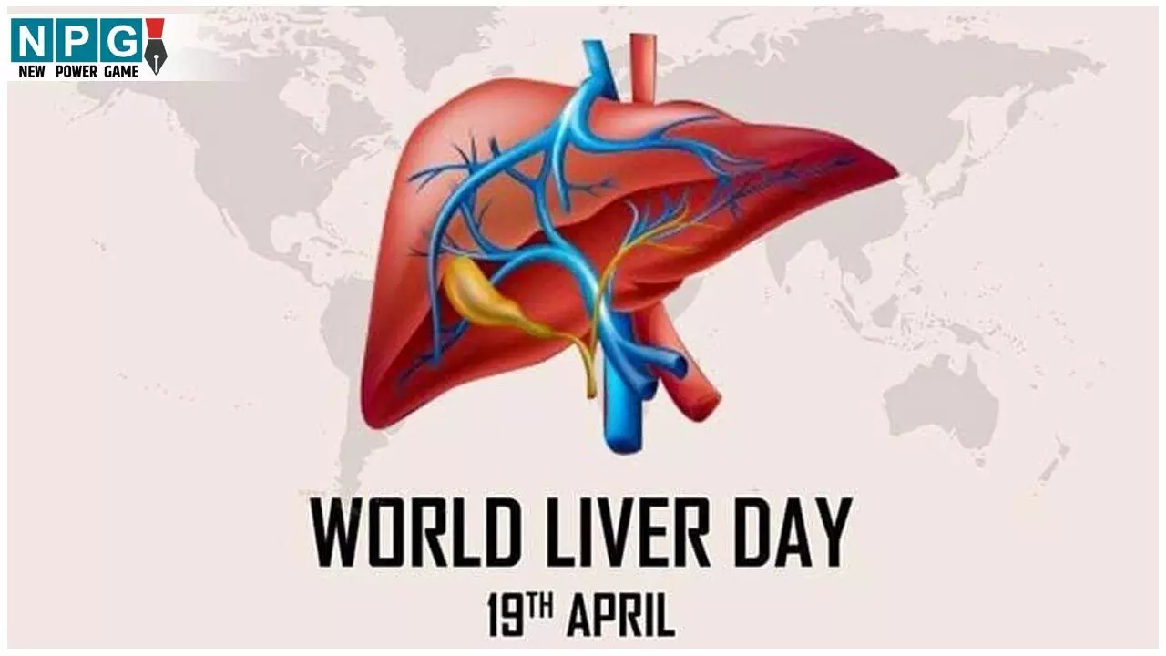 World Liver Day 2025: वेजिटेरियन हैं तो लिवर को स्वस्थ रखने के लिए खाने में शामिल करें ये चीज़ें... World Liver Day 2025: वेजिटेरियन हैं तो लिवर को स्वस्थ रखने के लिए खाने में शामिल करें ये चीज़ें...