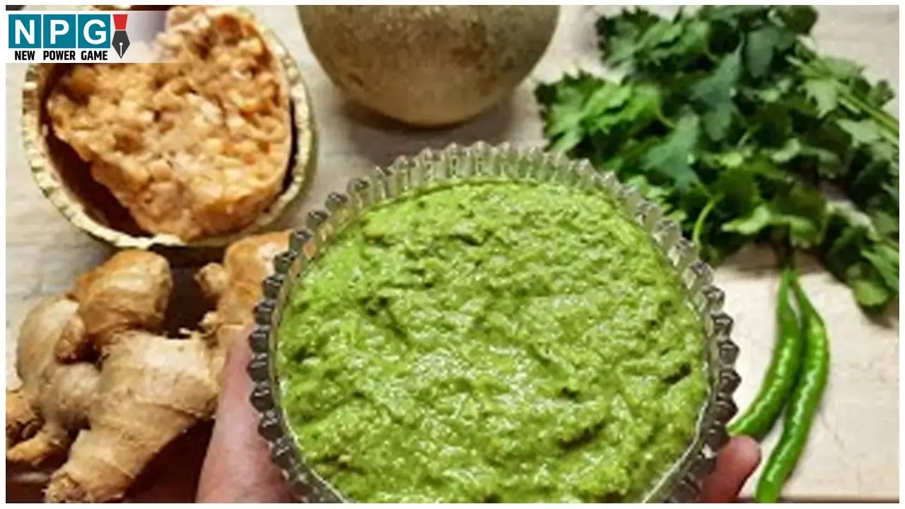 Kabit Ki Chutney Recipe: खट्टी-तीखी कबीट की चटनी बनाकर देखिये, मिलेगा नया स्वाद... Kabit Ki Chutney Recipe: खट्टी-तीखी कबीट की चटनी बनाकर देखिये, मिलेगा नया स्वाद...