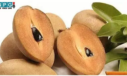 Chiku Khane Ke Fayde: गर्मियों में बेहतर पाचन और एनर्जी की गारंटी है चीकू, जानिए कमाल के फायदे...