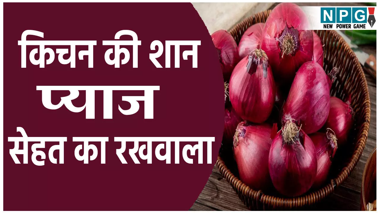 किचन की शान प्याज, सेहत का रखवाला, रोज खाने से होंगे ये फायदे किचन की शान प्याज, सेहत का रखवाला, रोज खाने से होंगे ये फायदे
