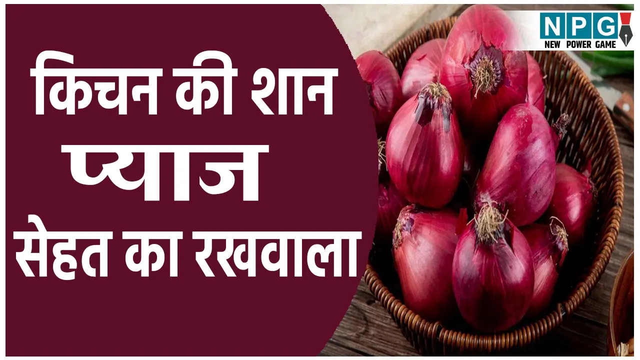 Raw Onion Benefits: किचन की शान प्याज, सेहत का रखवाला, रोज खाने से होंगे ये फायदे किचन की शान प्याज, सेहत का रखवाला, रोज खाने से होंगे ये फायदे