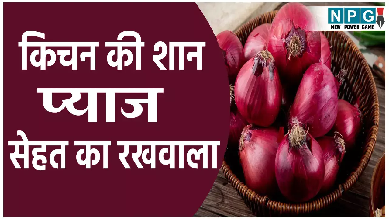 किचन की शान प्याज, सेहत का रखवाला, रोज खाने से होंगे ये फायदे