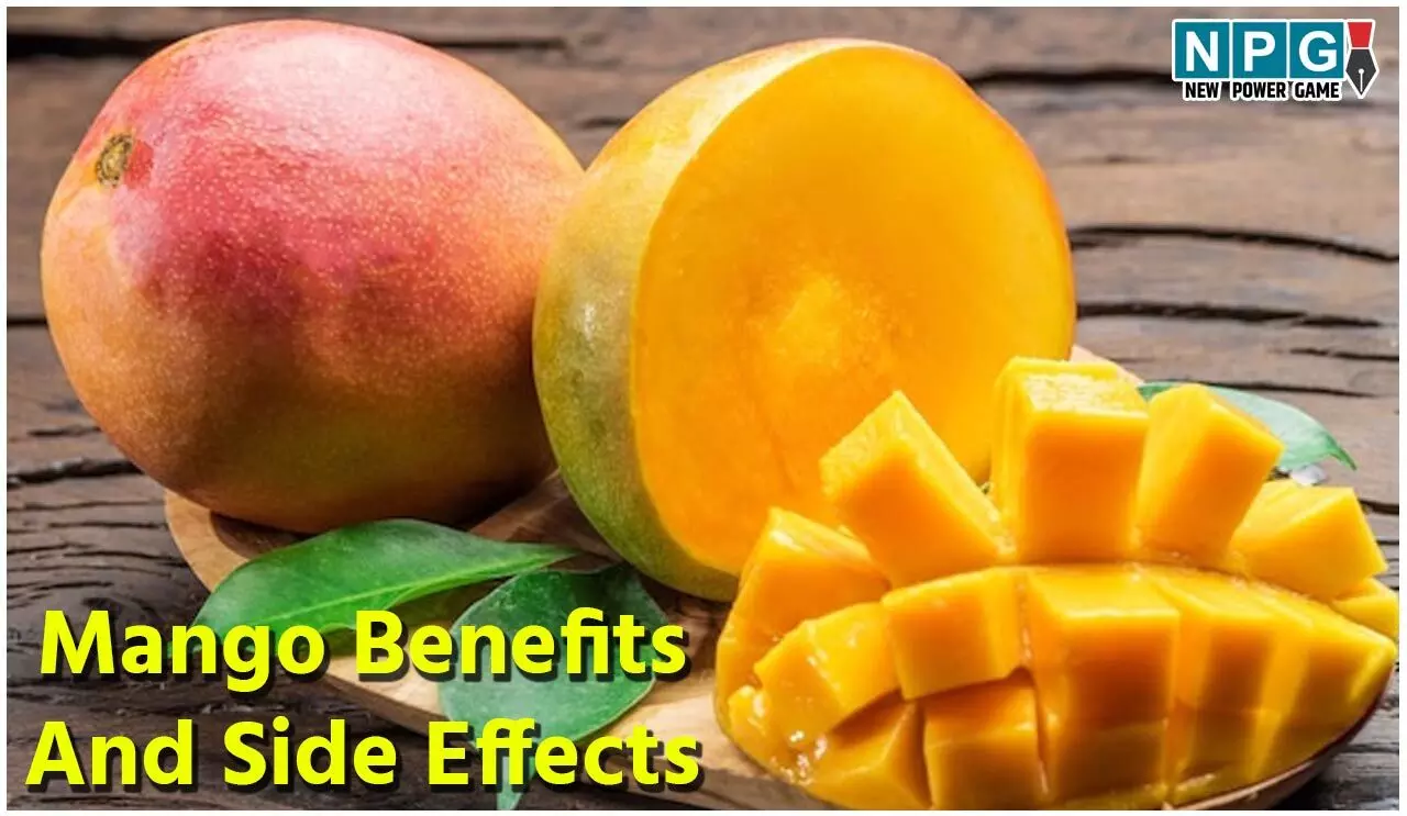 Mango Benefits And Side Effects: आम की तासीर ठंडी है या गर्म? जाने आयुर्वेद क्या कहता है, साथ ही जानिये आम के फायदे और नुकसान... Mango Benefits And Side Effects: आम की तासीर ठंडी है या गर्म? जाने आयुर्वेद क्या कहता है, साथ ही जानिये आम के फायदे और नुकसान...