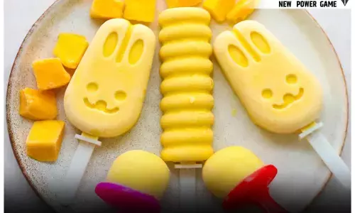 Sugar Free Mango Ice-cream Recipe: ऐसे बनाएंगे हाई फाइबर-हाई प्रोटीन मैंगो आइसक्रीम तो गिल्ट फ्री होकर खाएंगे, जानिये फेमस न्यूट्रिशनिस्ट रयान फर्नेंडो की रेसिपी...