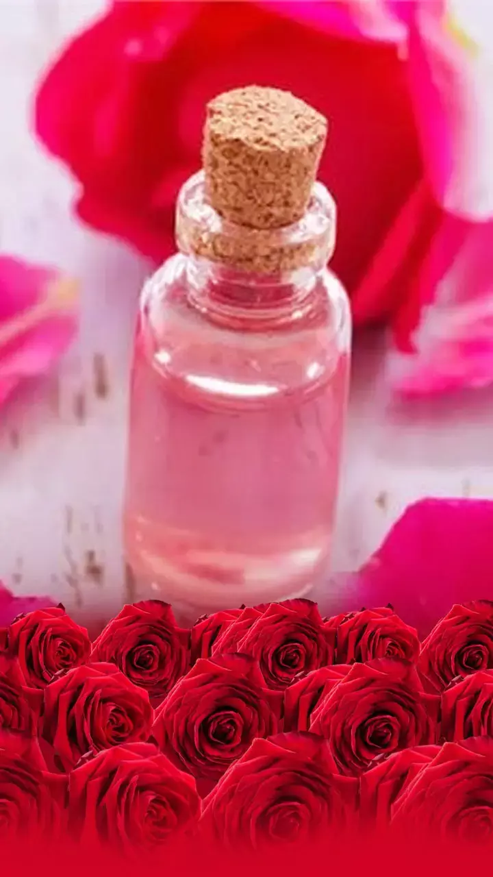 Rose Water Side Effects In Hindi: फ्रेशनेस के नाम पर स्किन का नुकसान? जानिए गुलाब जल के साइड इफेक्ट्स