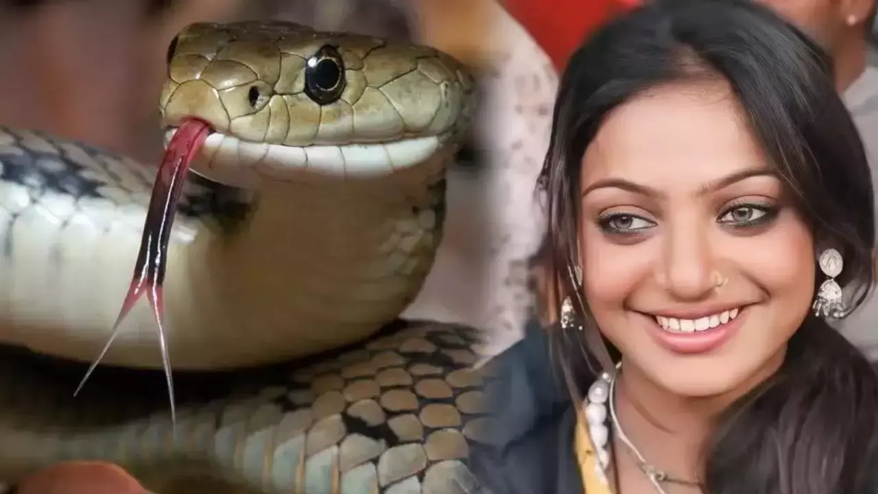 Viral Girl Monalisa News: महाकुंभ मोनालिसा को सांप ने काटा!... हालत गंभीर, दर्दनाक घटना का सामने आया सच, जानिए...