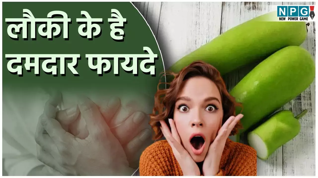 Lauki khane ke Fayde: लौकी है समर स्पेशल सस्ती-सुलभ सब्ज़ी, जानिये इसके दमदार फायदे... Lauki khane ke Fayde: लौकी है समर स्पेशल सस्ती-सुलभ सब्ज़ी, जानिये इसके दमदार फायदे...