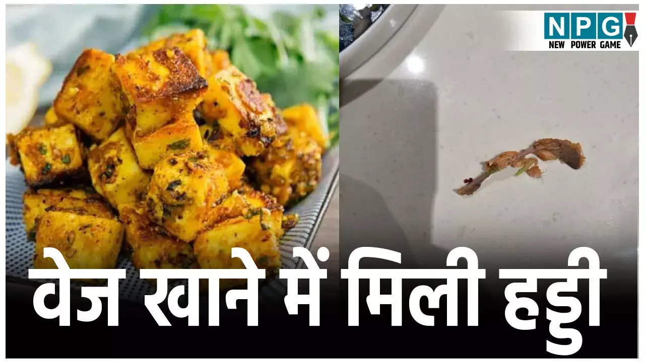 Bilaspur Restaurant News: मंगाई पनीर, निकली हड्डी…रेस्टोरेंट के वेज खाने में मिली हड्डी