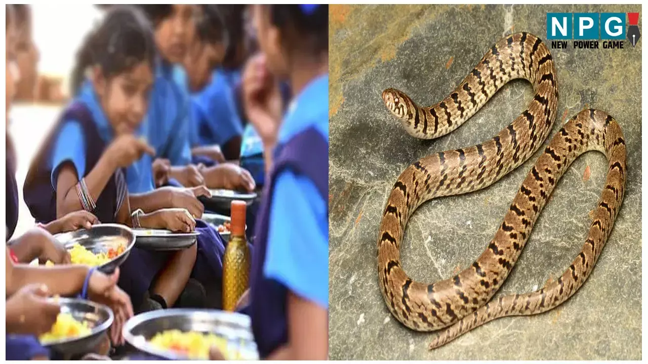 School News: मिड डे मील में बच्चों को खिलाई गई सांप वाली सब्जी, 200 से ज्यादा बच्चे बीमार