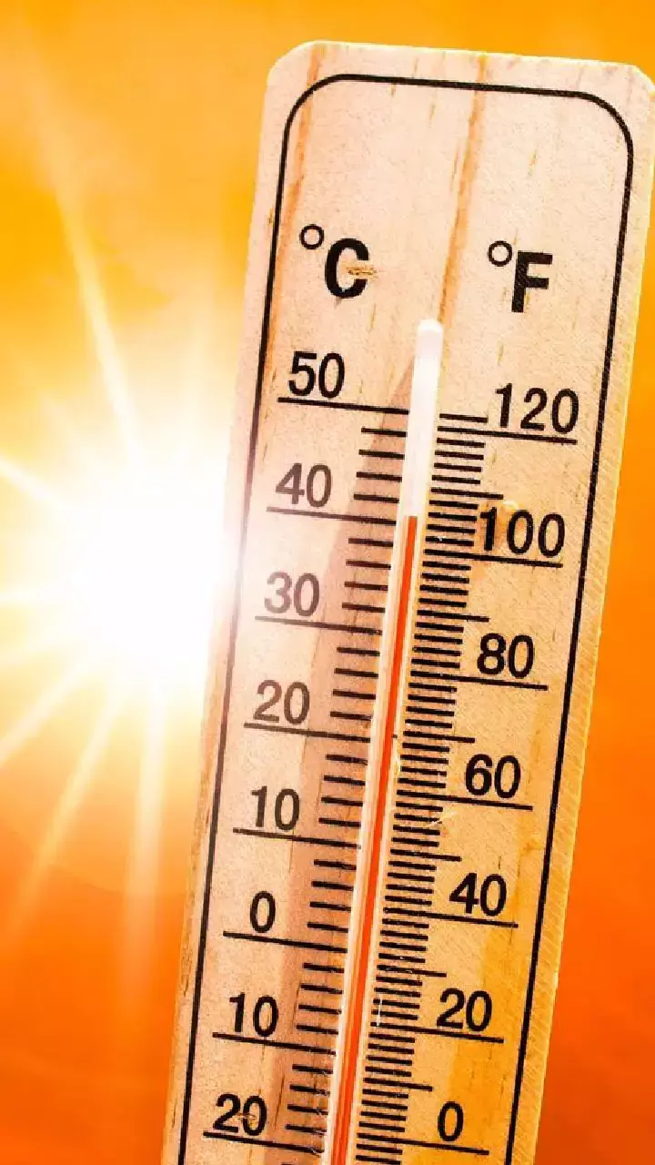 Foods to avoid heat stroke:  लू और गर्मी से बचाएंगे ये देसी सुपरफूड्स, आज से ही बनाएं डाइट का हिस्सा