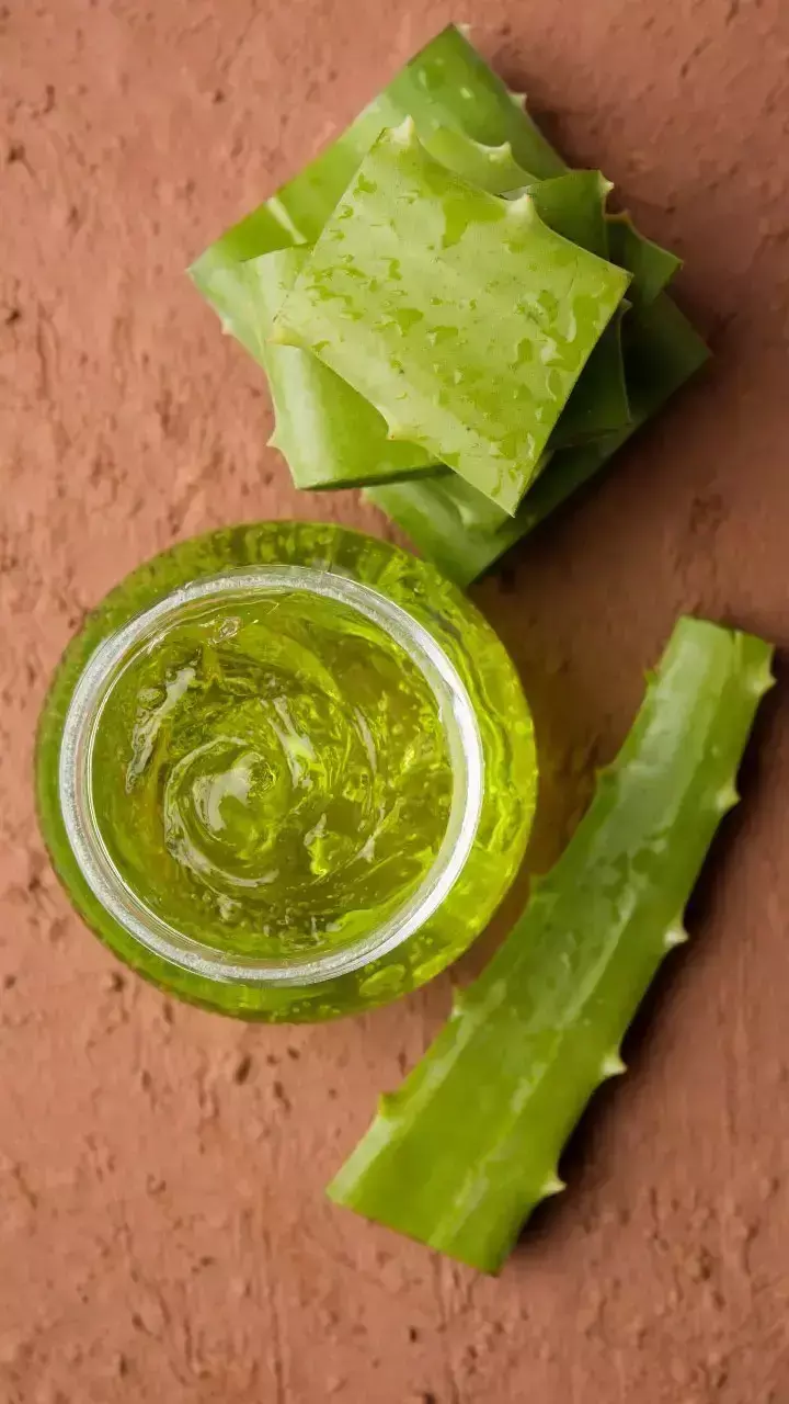 Summer Skin Care: गर्मियों में एलोवेरा से पाएं ताजगी और निखरी त्वचा, जानें बेहतरीन टिप्स