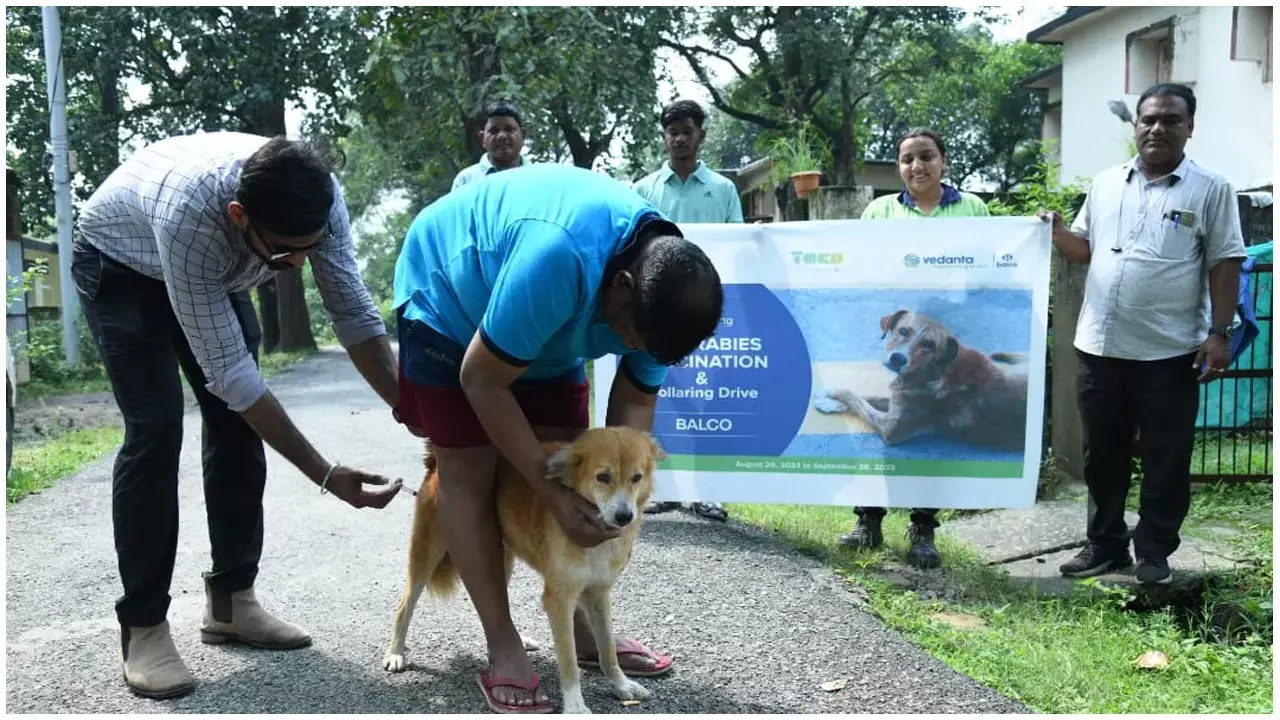 Balco News: बालको ने टाको के साथ पशु कल्याण कार्यक्रमों के तीन वर्ष किए पूरे, 5,000 से अधिक पशुओं को लाभ पहुंचा...