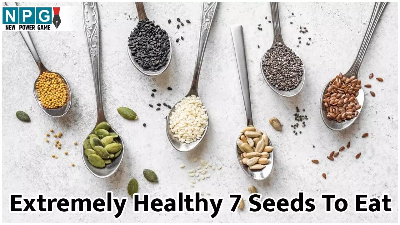 Extremely Healthy 7 Seeds To Eat: इन 7 तरह के बीजों में छुपा है सेहत का खजाना, जानिये बेशकीमती फायदे... Extremely Healthy 7 Seeds To Eat: इन 7 तरह के बीजों में छुपा है सेहत का खजाना, जानिये बेशकीमती फायदे...
