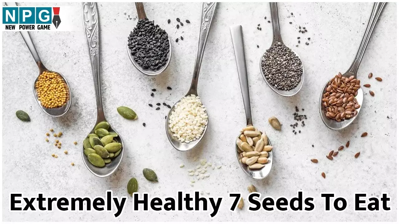 Extremely Healthy 7 Seeds To Eat: इन 7 तरह के बीजों में छुपा है सेहत का खजाना, जानिये बेशकीमती फायदे...